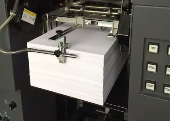 Лист карты Pvc A4 устойчивости к старению 0.4mm покрытия чернил